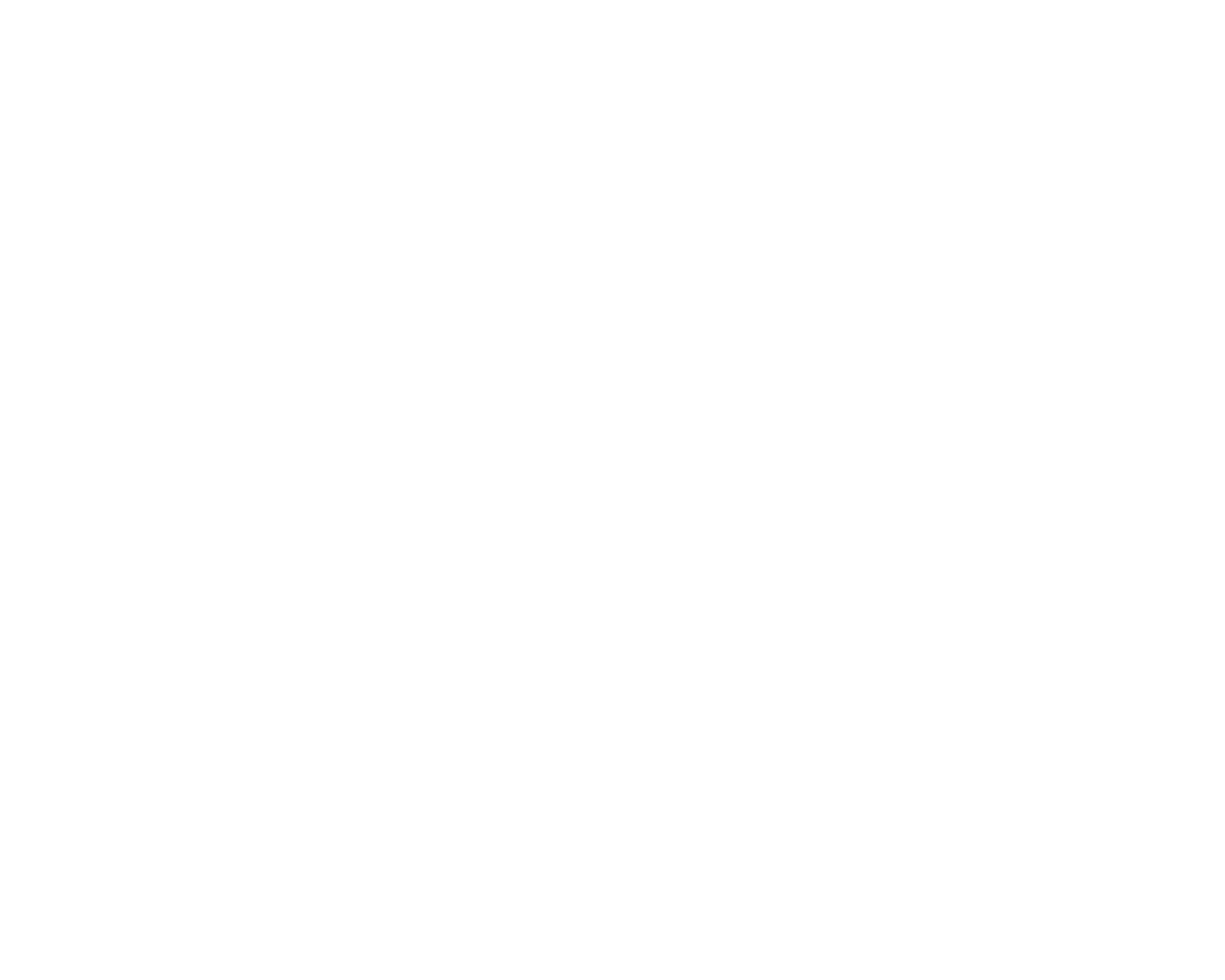 Leoni Logo
