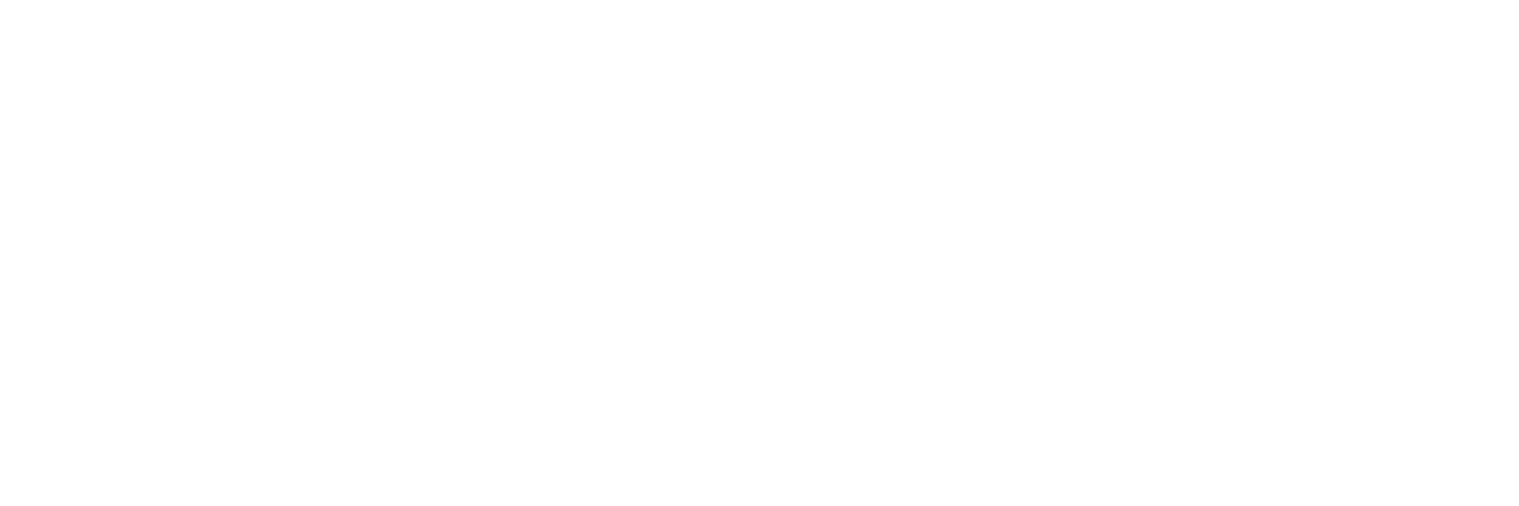 VAR_Group_weiß