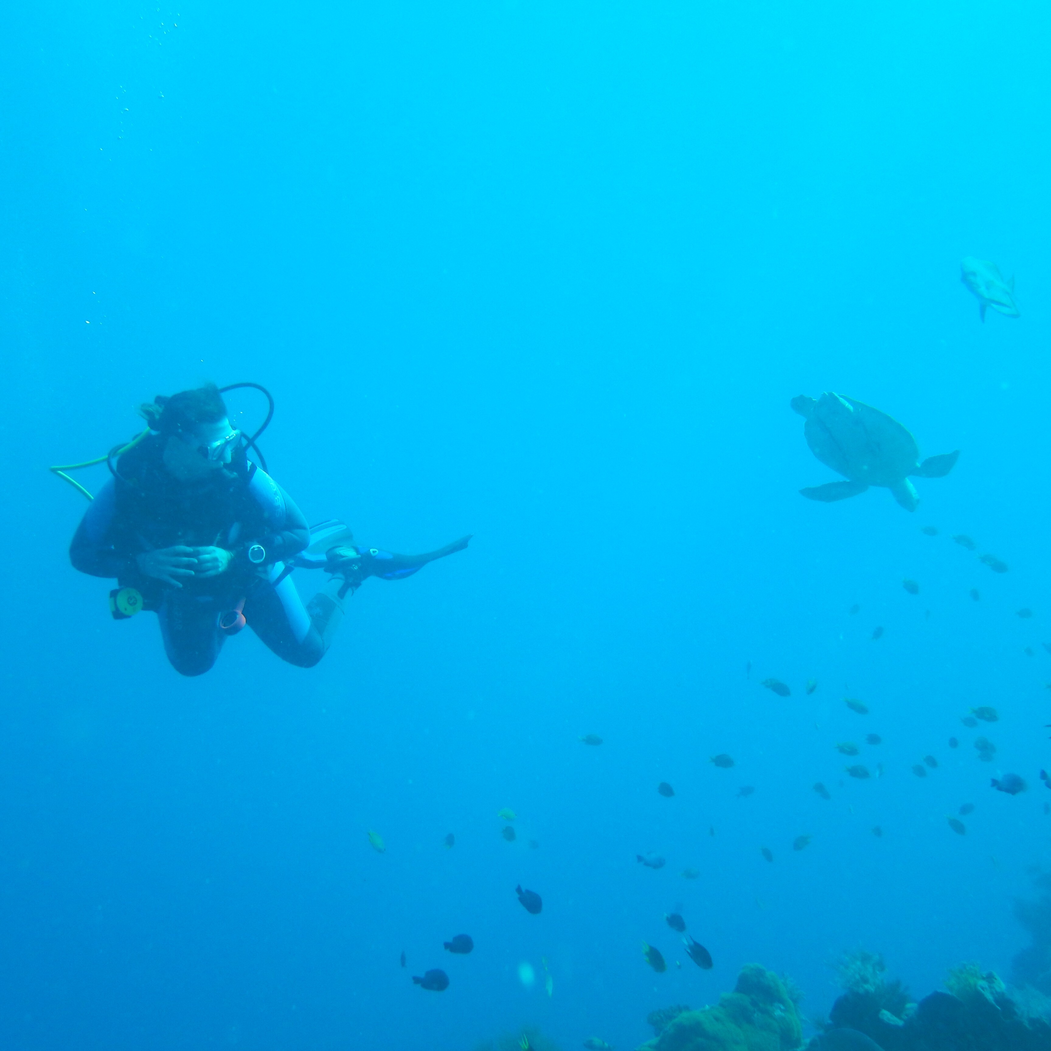 Hobby von Teresa Graf