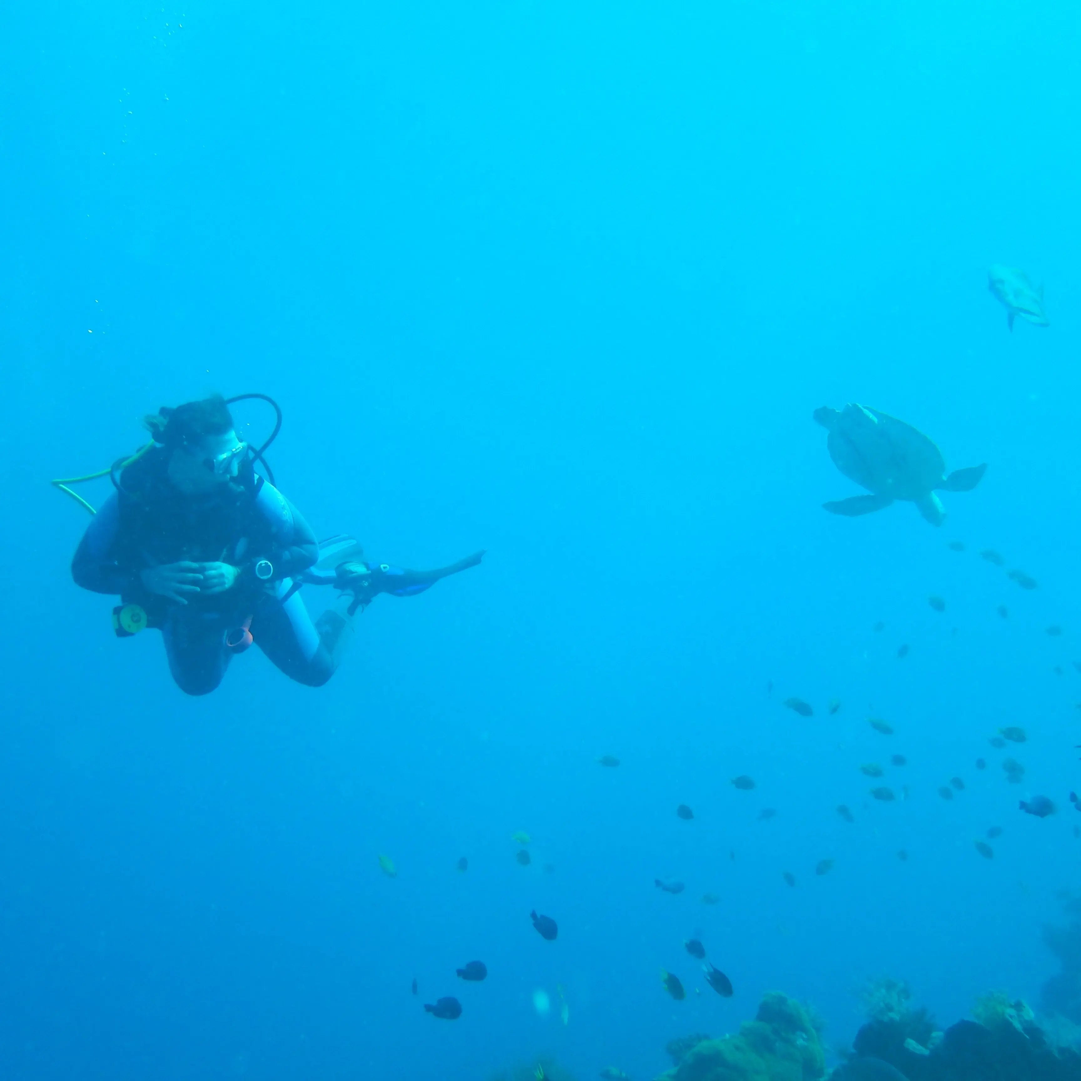 Hobby von Teresa Graf