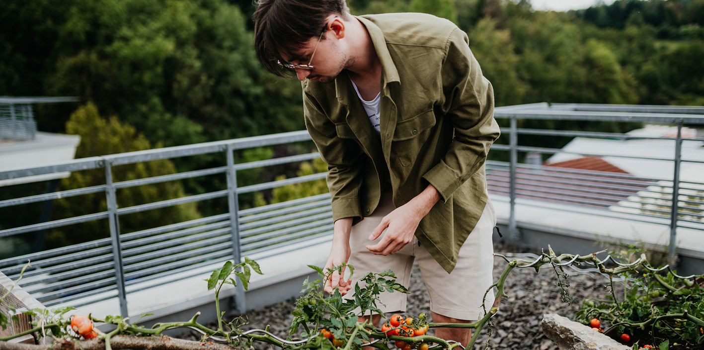 Rooftop Garten