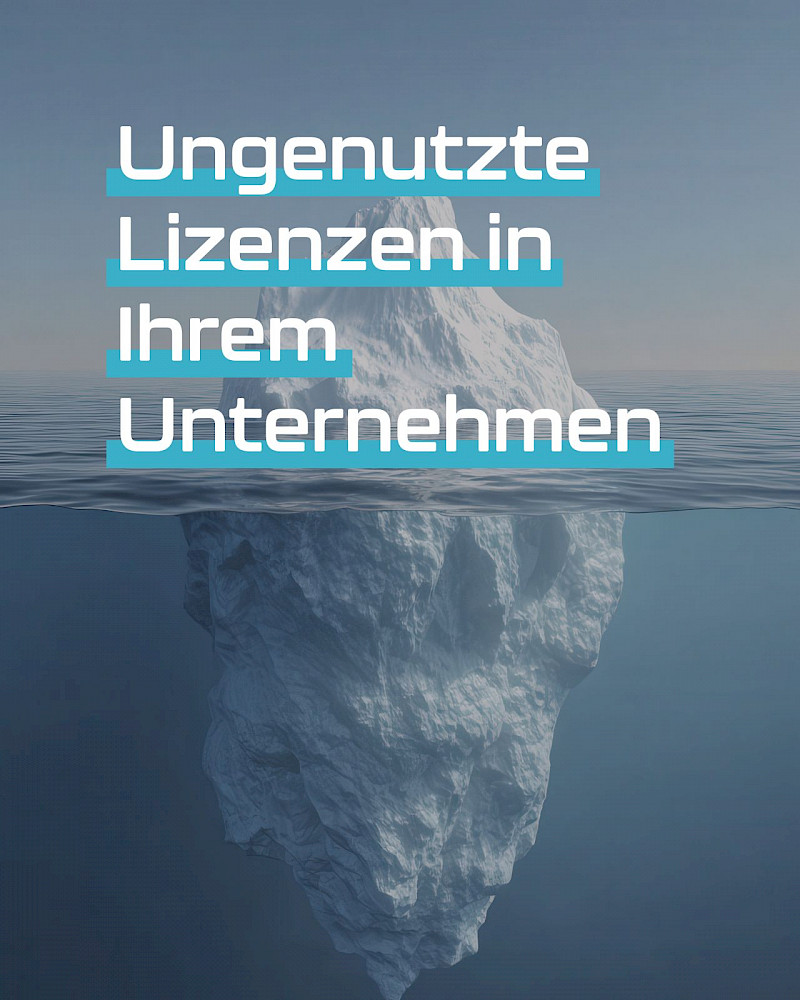 Ungenutzte Lizenzen in Ihrem Unternehmen